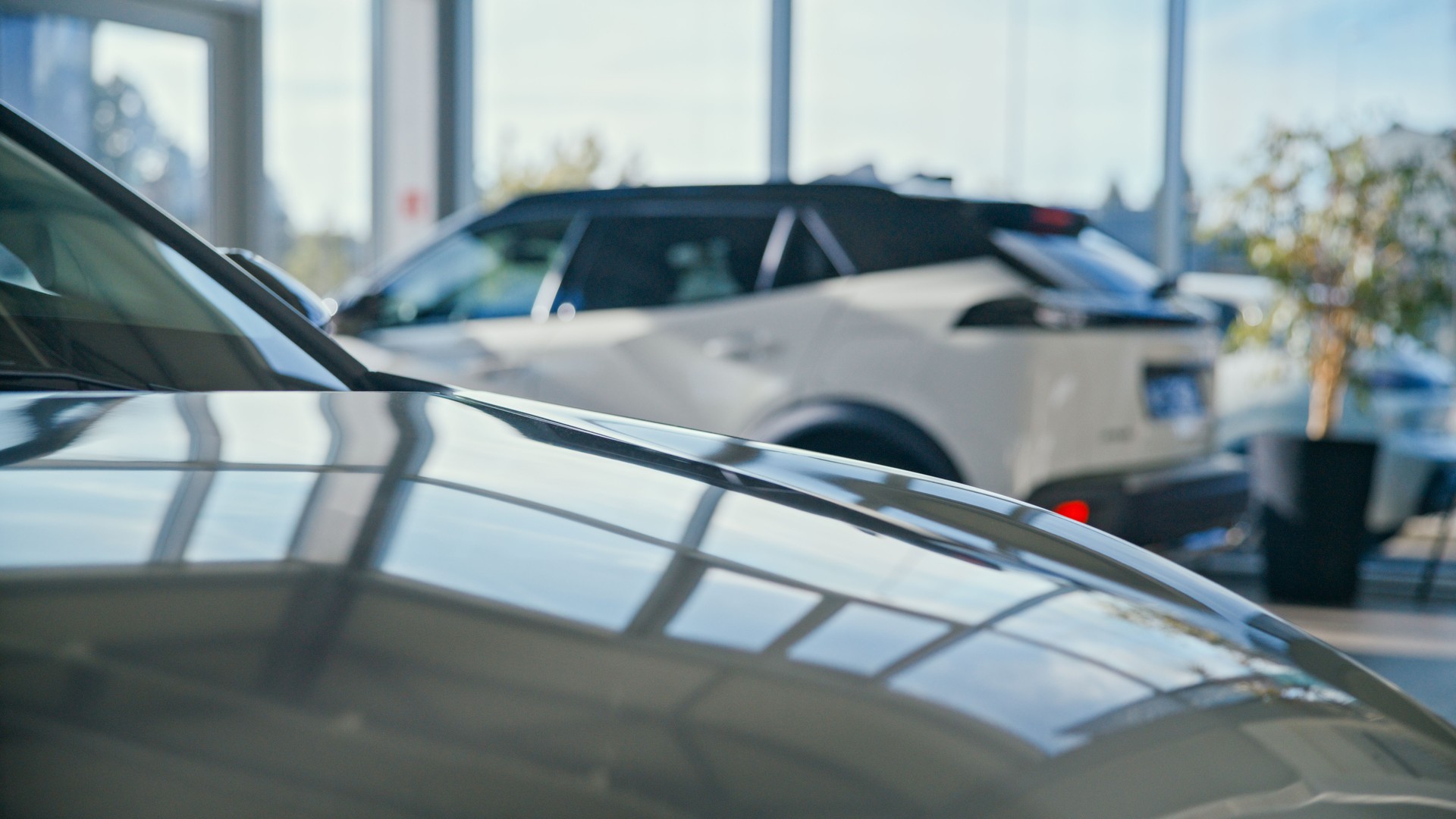 Close-Up of New Car For Sale in Modern Showroom